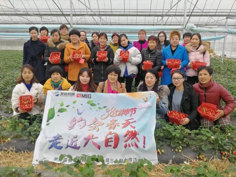 GO, chúng ta cùng đi hái dâu nhé—— Hoạt động 